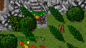 Purobuj on screen