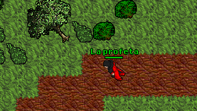 La profeta on screen