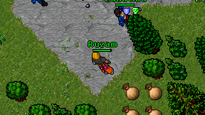 Ruzam on screen