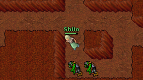 Shiio on screen
