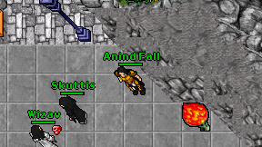 Anind Fall on screen