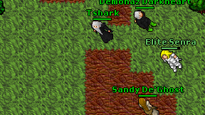 Tshark on screen