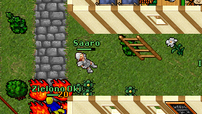 Saaro on screen