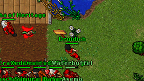 Druidich on screen