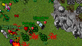 Nimakus on screen
