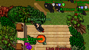 Katu Naton on screen