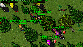 Icer'druid on screen