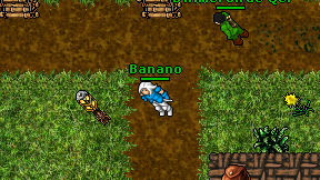 Banano on screen