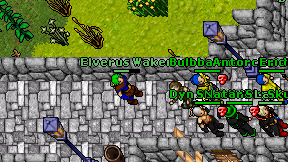 Elverus Waken on screen
