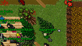 Sprynger on screen