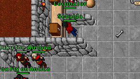Coconator on screen
