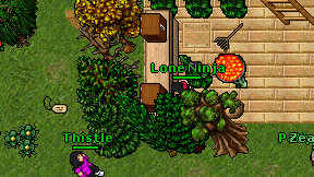 Lone Ninja on screen