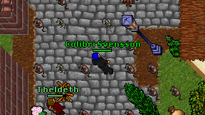 Colibri Svensson on screen