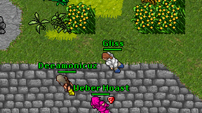 Gliss on screen