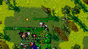 Ar-bognah on screen