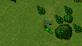 Elgol on screen