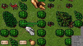 Kaniosos on screen