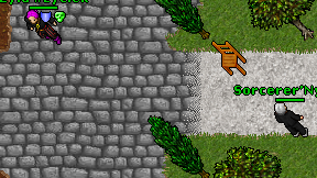 Sorcerer'Nynon on screen