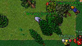 Breave Spirit on screen