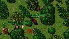 Roberto Cloud on screen