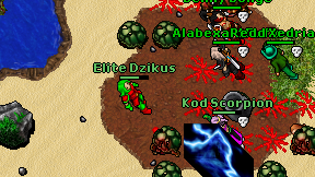 Elite Dzikus on screen