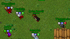 Crin Ravil on screen