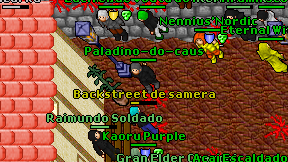Paladino-do-caus on screen