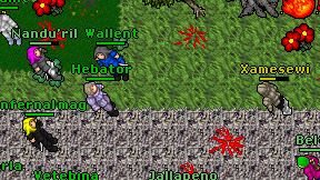 Xamesewi on screen