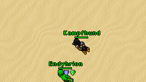 Kampfhund on screen