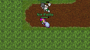 Sir Pollo on screen