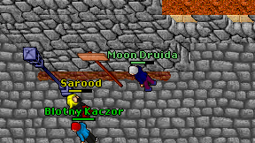 Moon Druida on screen