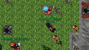 Arca Wider on screen