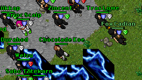 Chocolade Koe on screen
