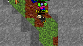 Jamodi on screen