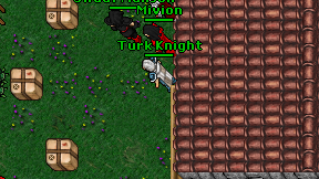 Turk Knight on screen
