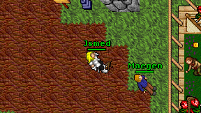 Jsmed on screen