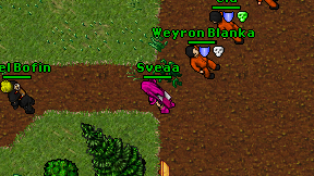 Sveaa on screen