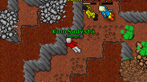 Kolo Sadysta on screen