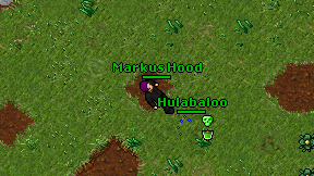 Markus Hood on screen
