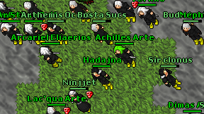 Hadajna on screen
