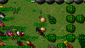 Airrem on screen