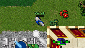 Vivak on screen