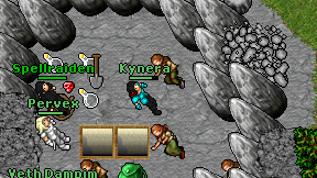 Kynera on screen
