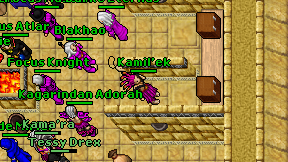 Kamil'ek on screen