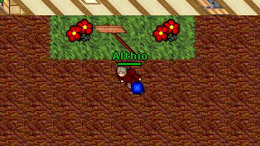 Althio on screen