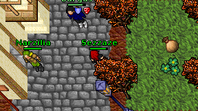 Sezzaze on screen