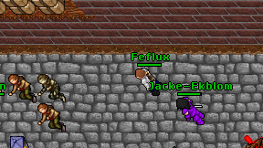 Feflux on screen