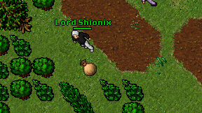 Lord Shionix on screen