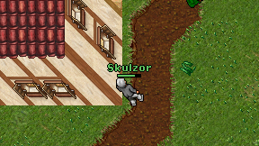 Skulzor on screen