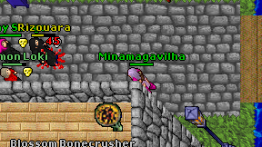 Minamagavilha on screen